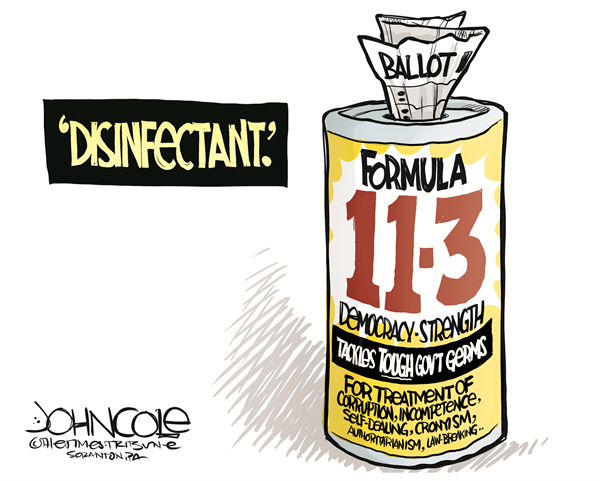 Democratic disinfectant by John Cole, The Scranton Times-Tribune, PA